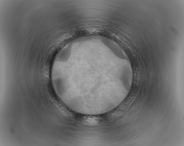 X0000113050710200909241455