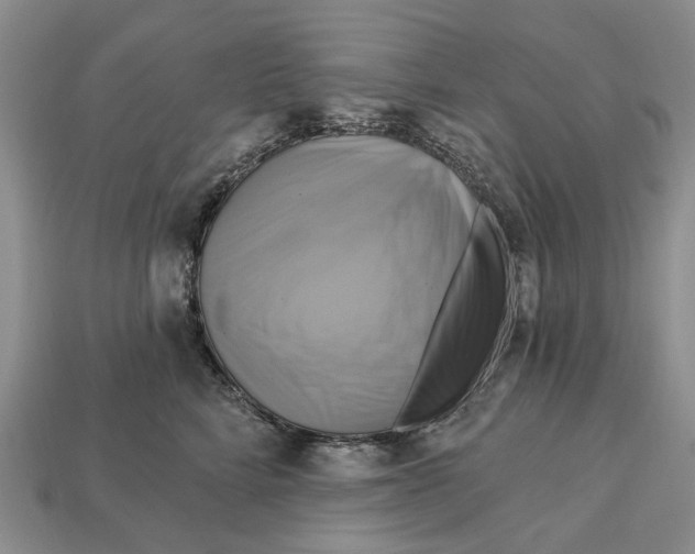 X0000113050712200909241455