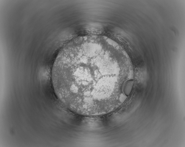 X0000113050713200909241455