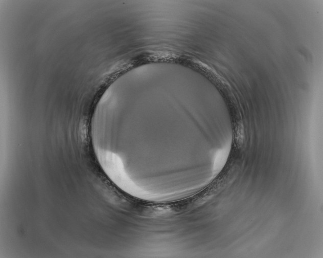 X0000113050715200909241455