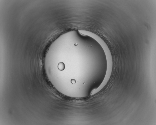 X0000113050716200909241455