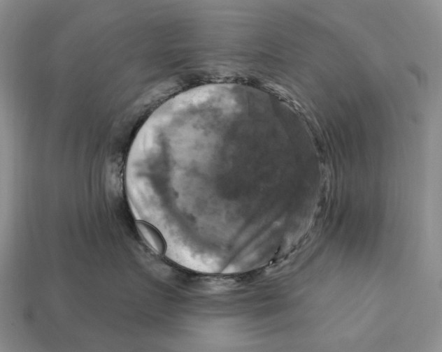 X0000113050719200909241455