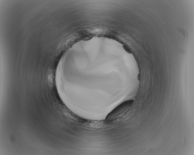 X0000113050720200909241455