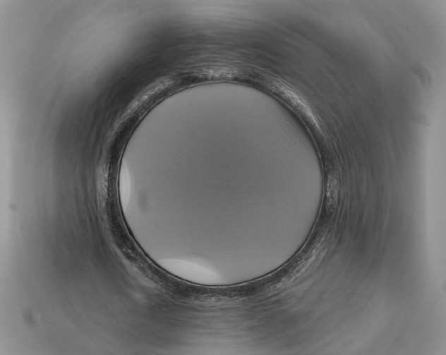X0000113050722200909241454