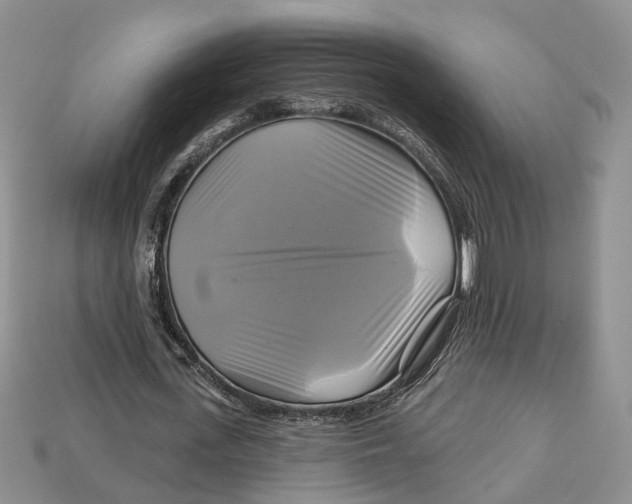 X0000113050723200909241454