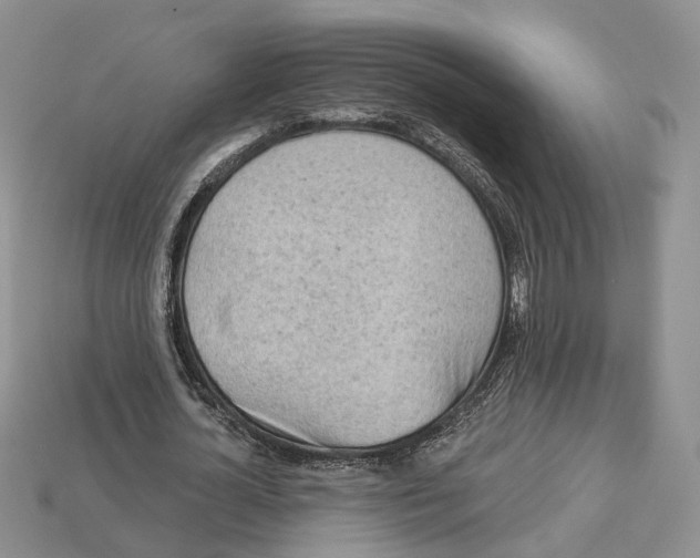 X0000113050724200909241454