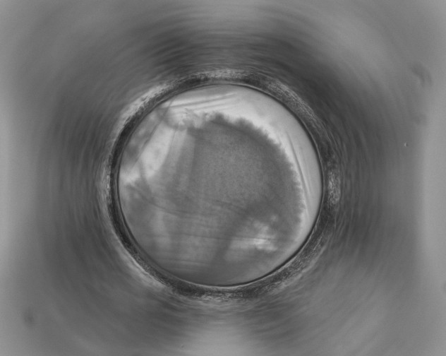 X0000113050725200909241454