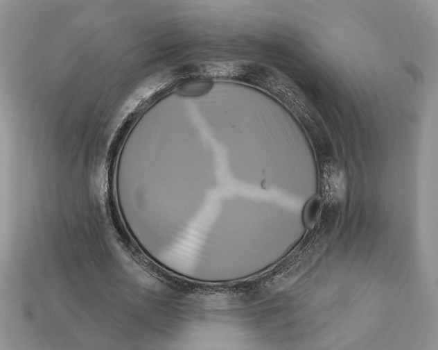 X0000113050726200909241454