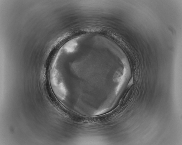 X0000113050727200909241454