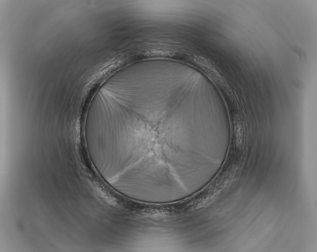 X0000113050729200909241454