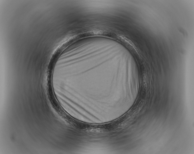 X0000113050730200909241454