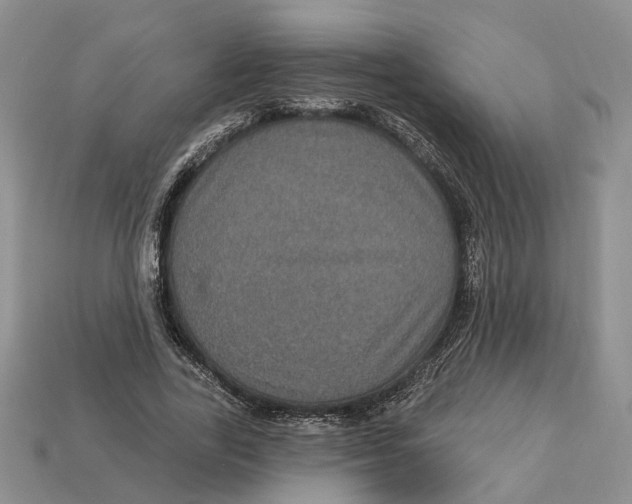 X0000113050731200909241454