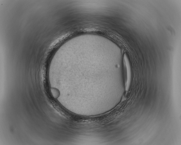X0000113050732200909241454