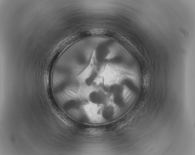 X0000113050733200909241454
