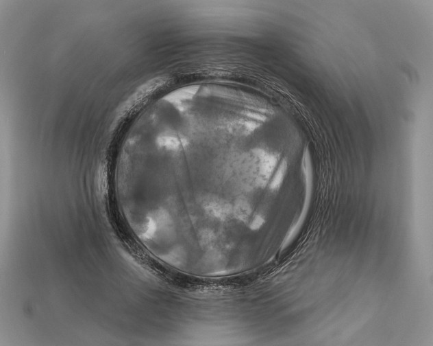 X0000113050734200909241454