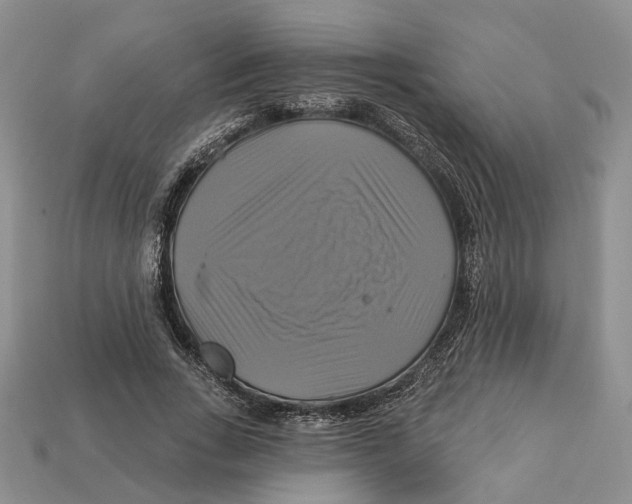 X0000113050735200909241454