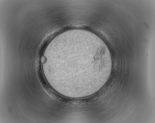 X0000113050736200909241454