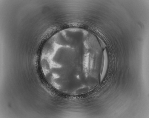 X0000113050738200909241455