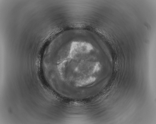 X0000113050739200909241455