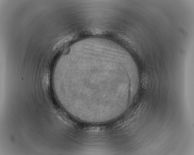 X0000113050740200909241455