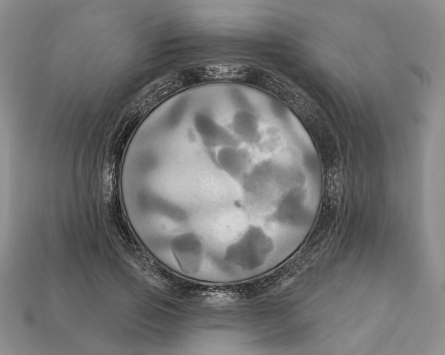X0000113050741200909241455