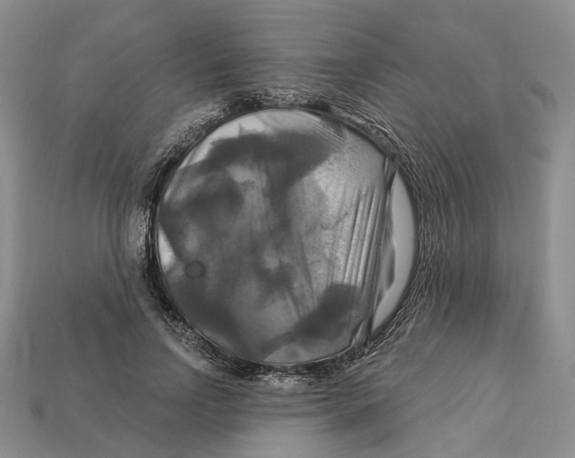 X0000113050742200909241455
