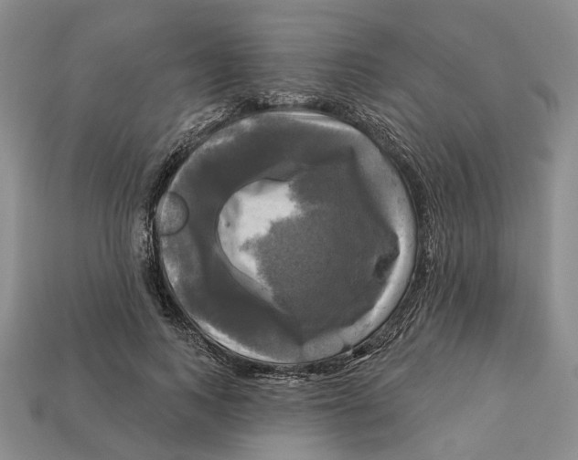 X0000113050743200909241455