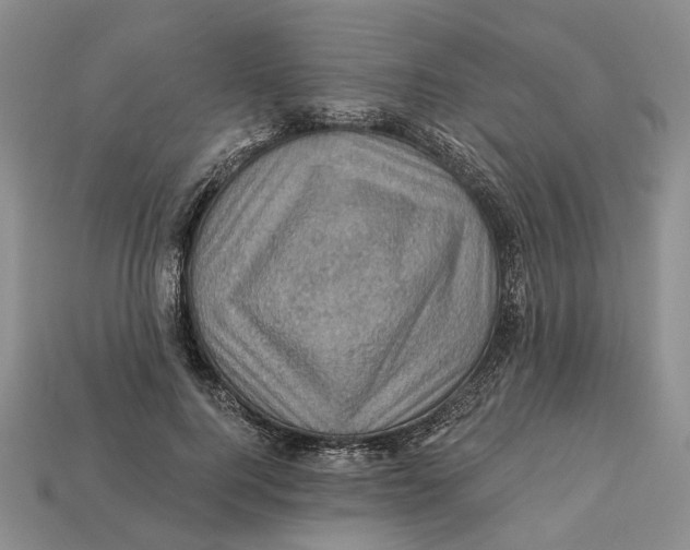 X0000113050744200909241455
