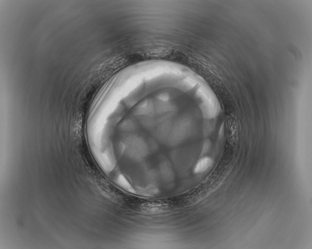 X0000113050745200909241455