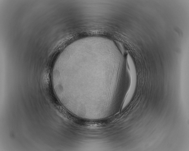 X0000113050746200909241455