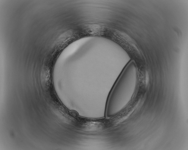 X0000113050748200909241455