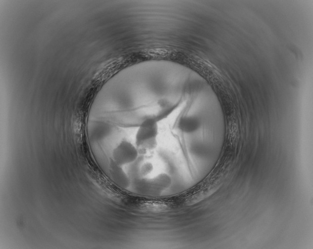 X0000113050749200909241455