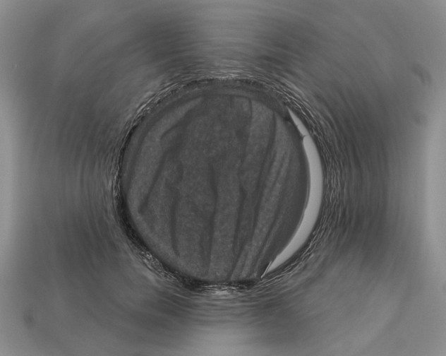 X0000113050750200909241455