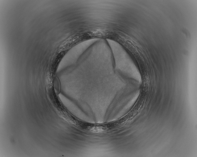 X0000113050751200909241455