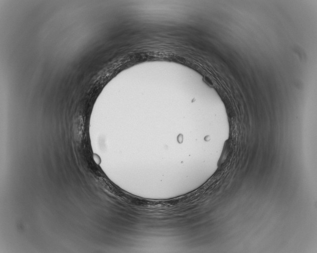X0000113050752200909241455