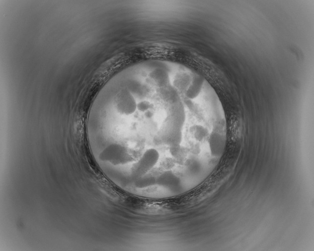 X0000113050753200909241455