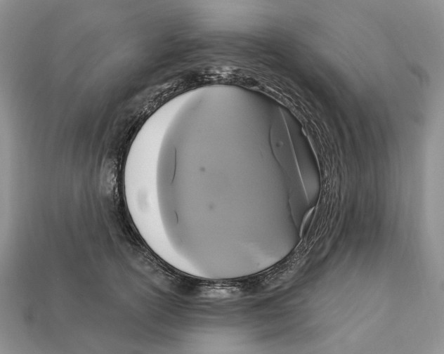 X0000113050754200909241455