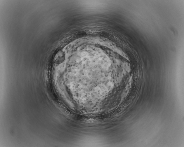 X0000113050755200909241455