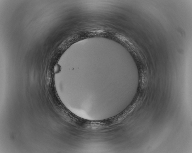 X0000113050758200909241455