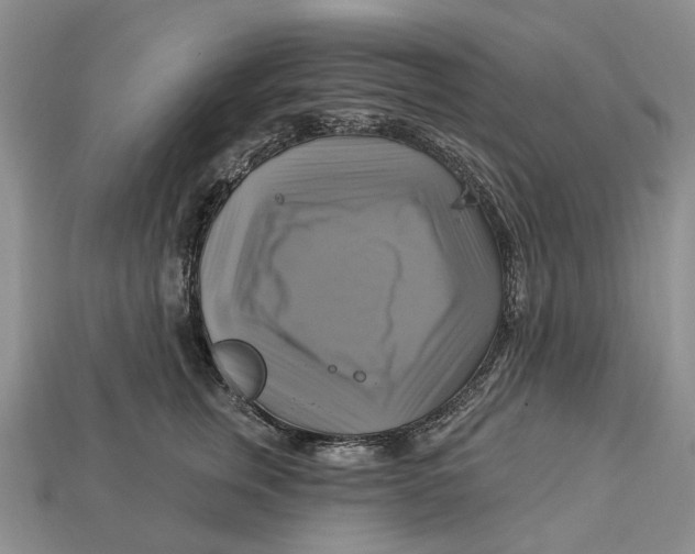 X0000113050759200909241455