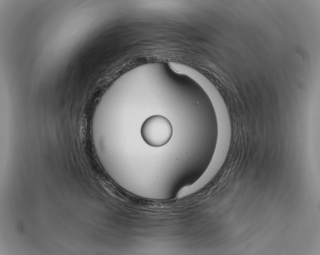 X0000113050760200909241455