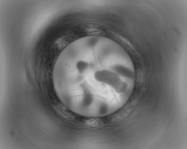 X0000113050761200909241455