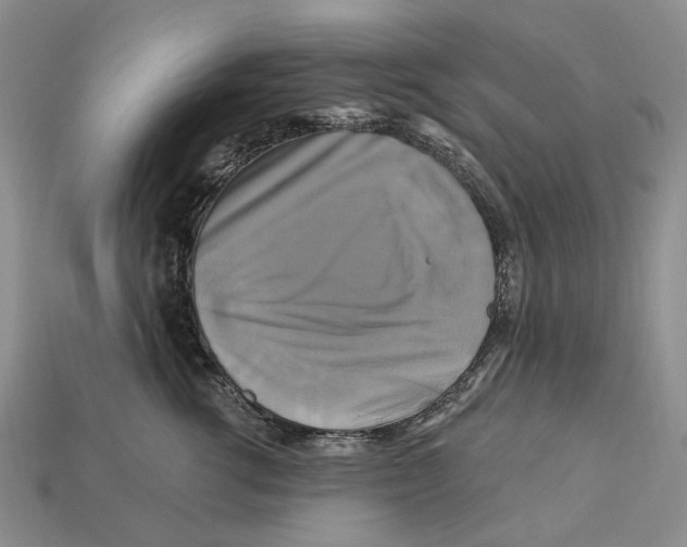 X0000113050762200909241455