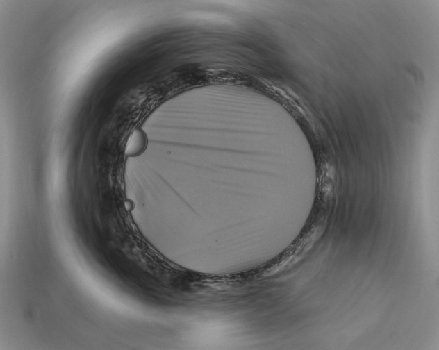 X0000113050763200909241455
