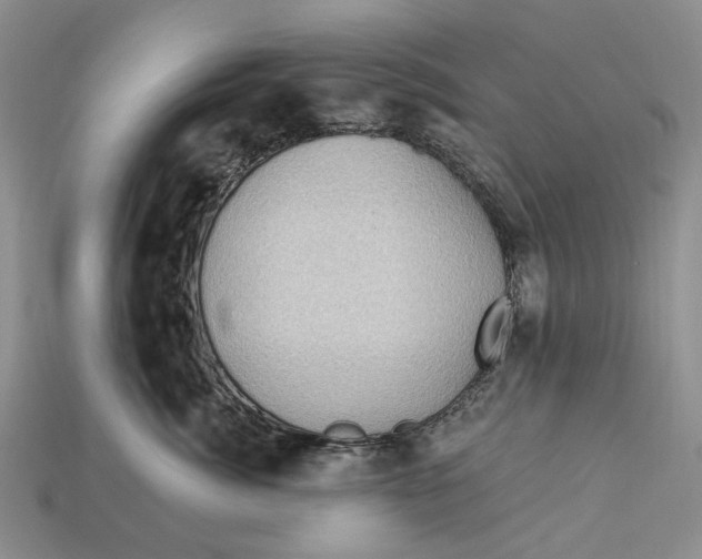 X0000113050764200909241455