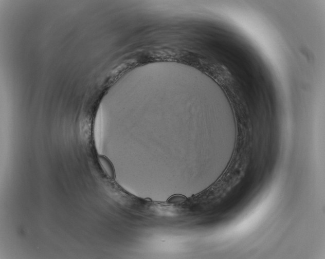X0000113050767200909241455