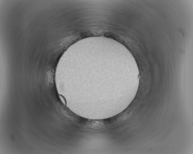 X0000113050768200909241455
