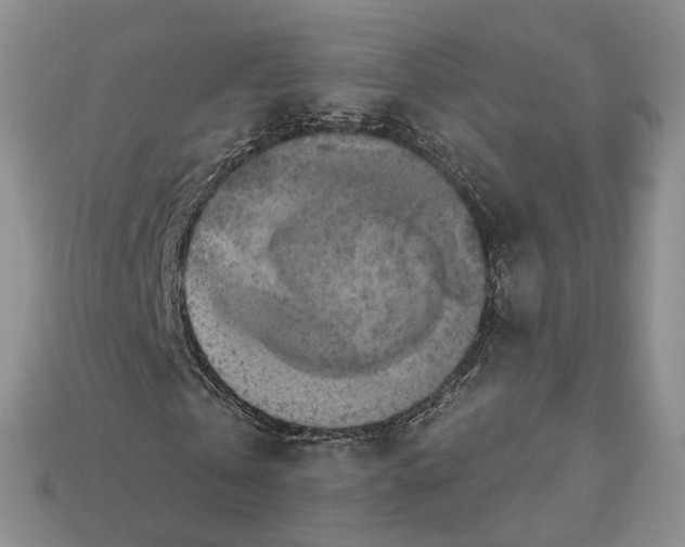X0000113050769200909241454