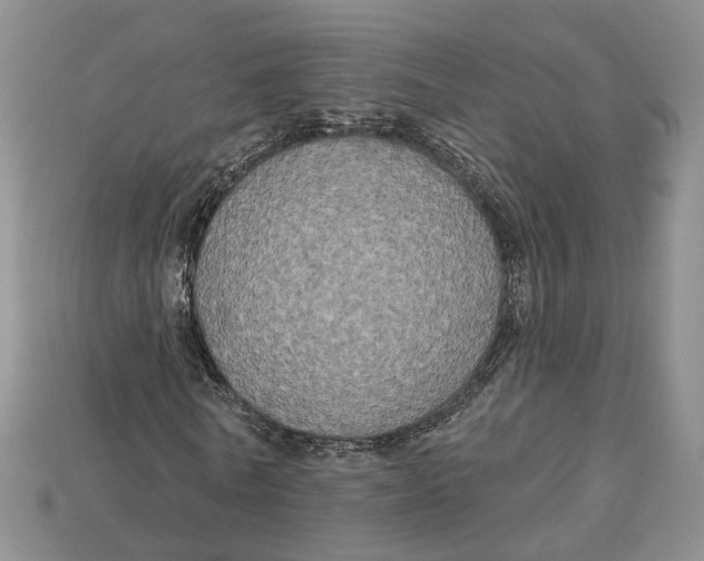 X0000113050770200909241454