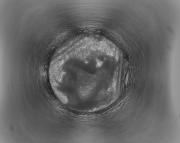 X0000113050771200909241454